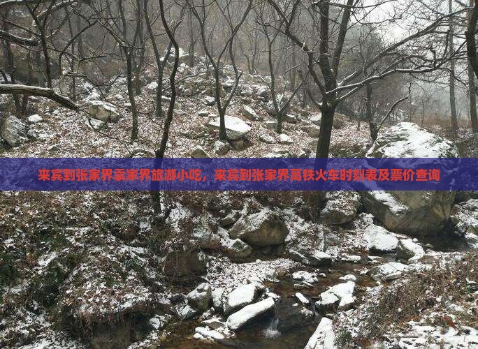 来宾到张家界袁家界旅游小吃