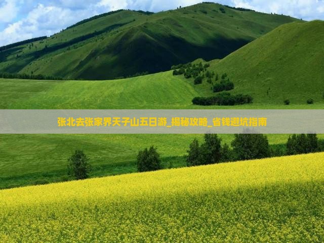 张北去张家界天子山五日游