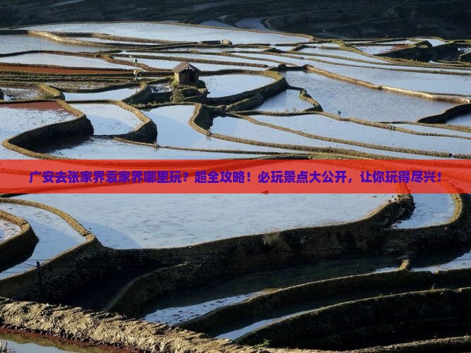 广安去张家界袁家界哪里玩