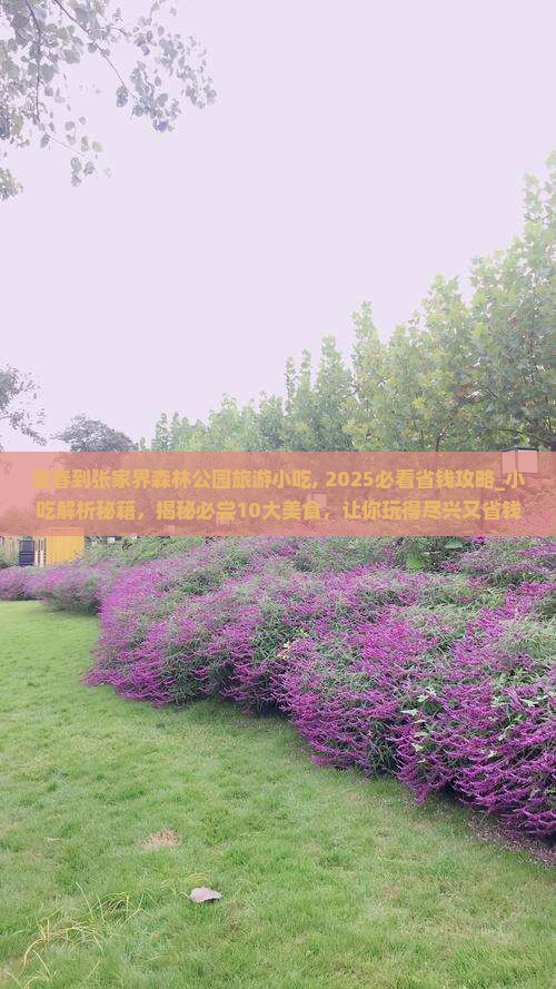 宜春到张家界森林公园旅游小吃