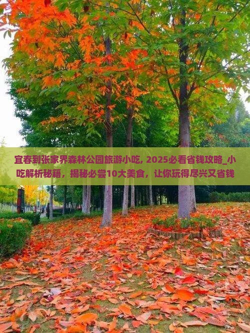 宜春到张家界森林公园旅游小吃