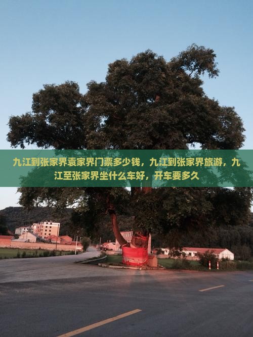 九江到张家界袁家界门票