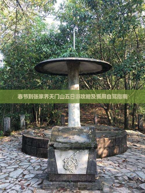春节到张家界天门山五日游