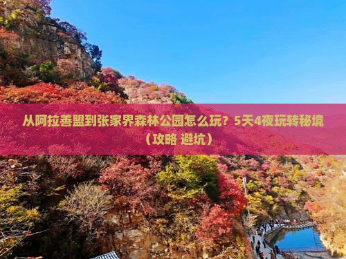 阿拉善盟到张家界森林公园哪里玩