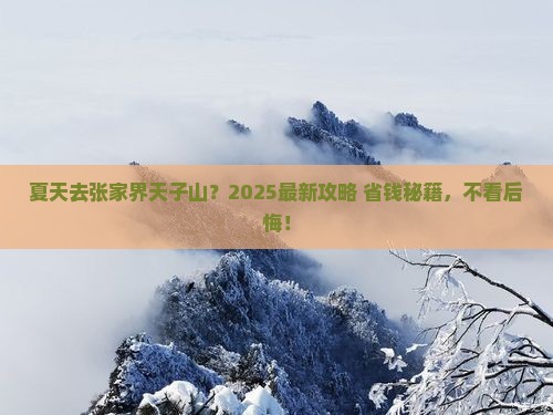 夏天到张家界天子山旅行社