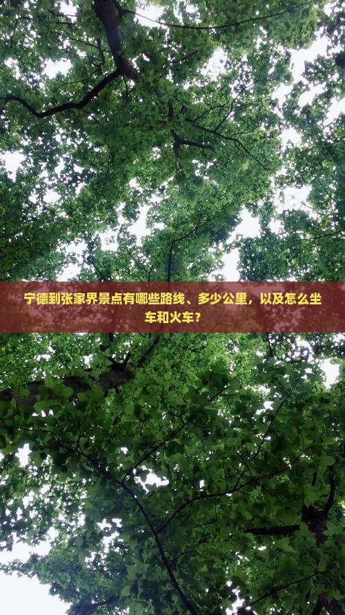 宁德到张家界景点