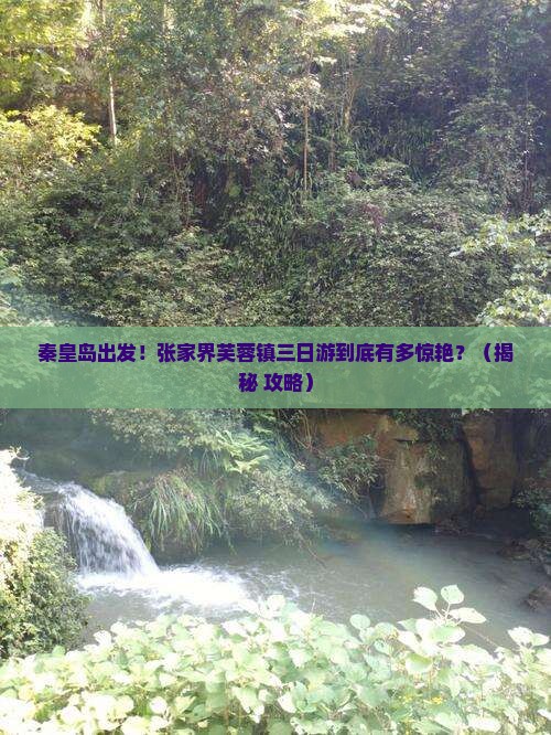 秦皇岛去张家界芙蓉镇三日游