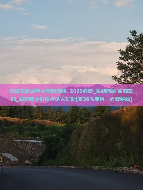 铁岭去张家界大型旅游团