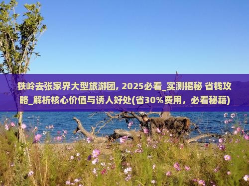 铁岭去张家界大型旅游团