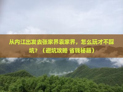 内江去张家界袁家界个人游
