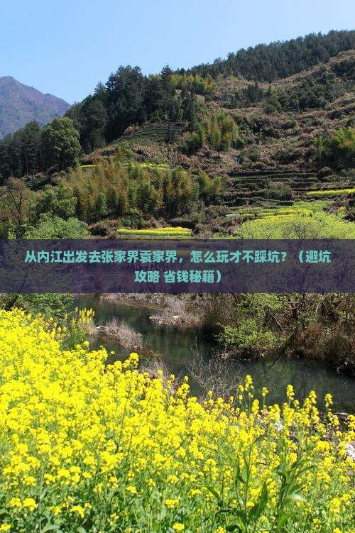 内江去张家界袁家界个人游