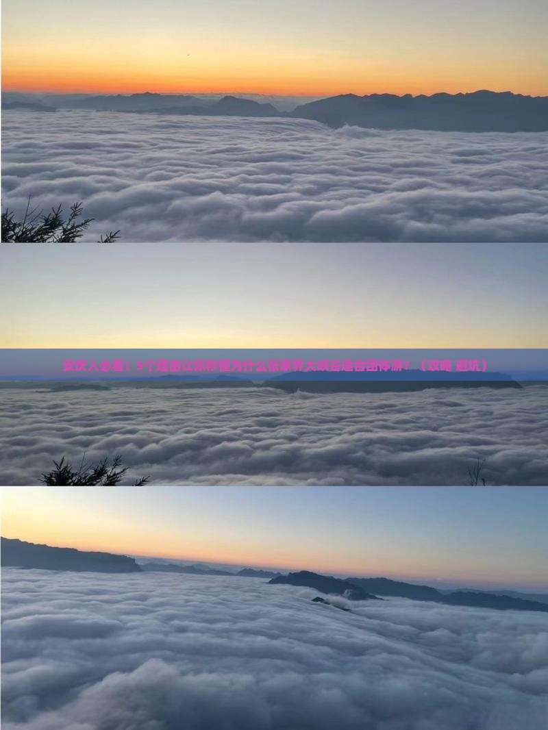 安庆去张家界大峡谷团体旅游