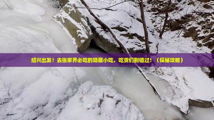 绍兴到张家界旅游小吃