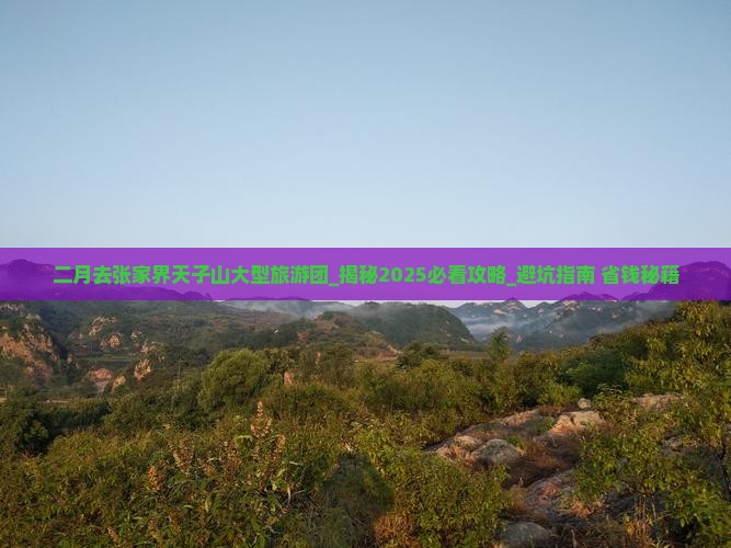 二月去张家界天子山大型旅游团