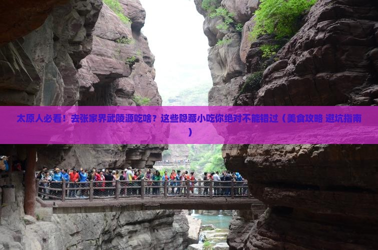 太原去张家界武陵源旅游小吃