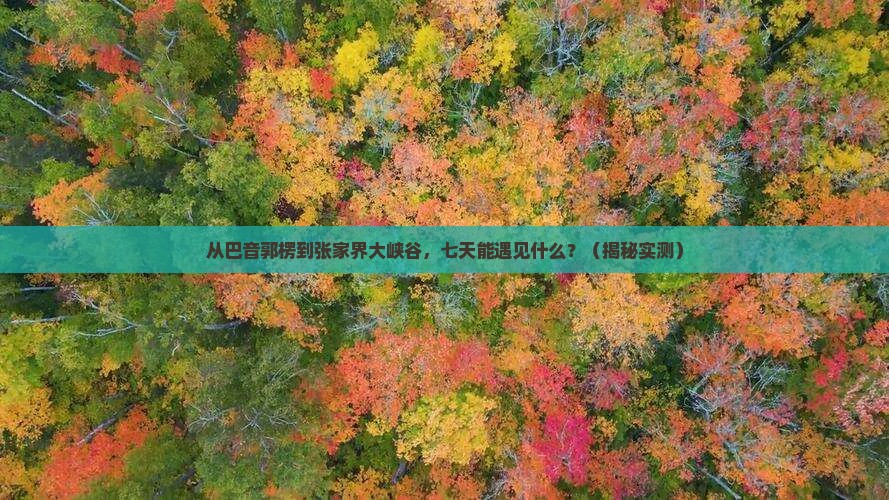 巴音郭楞去张家界大峡谷七日游