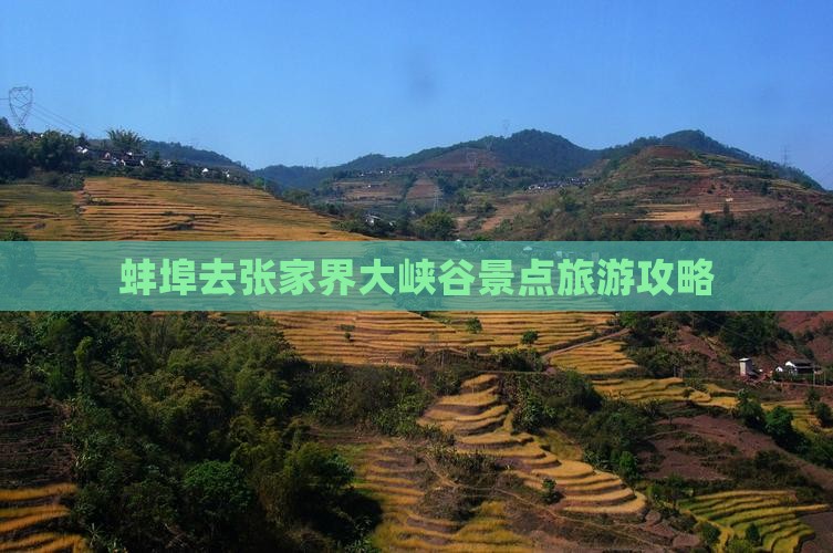蚌埠去张家界大峡谷景点