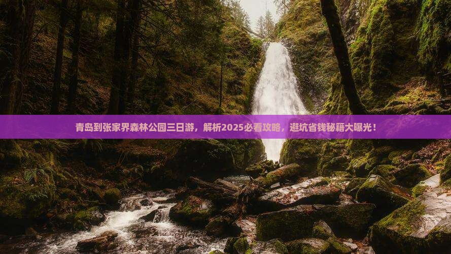 青岛到张家界森林公园三日游
