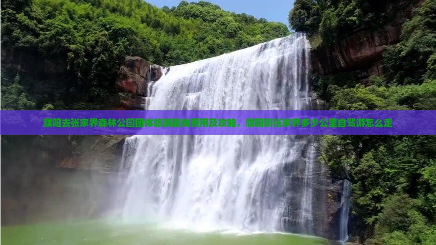 濮阳去张家界森林公园团体旅游