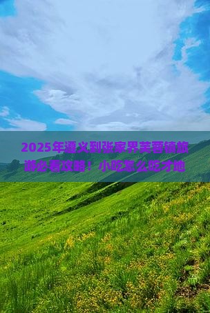 遵义到张家界芙蓉镇旅游小吃
