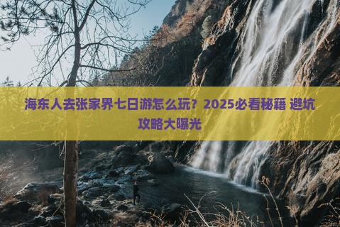 海东去张家界七日游