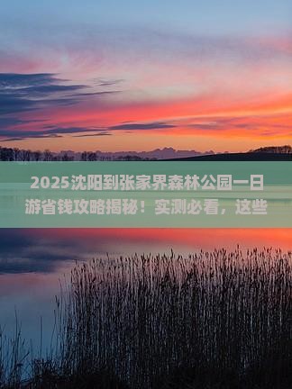 沈阳到张家界森林公园一日