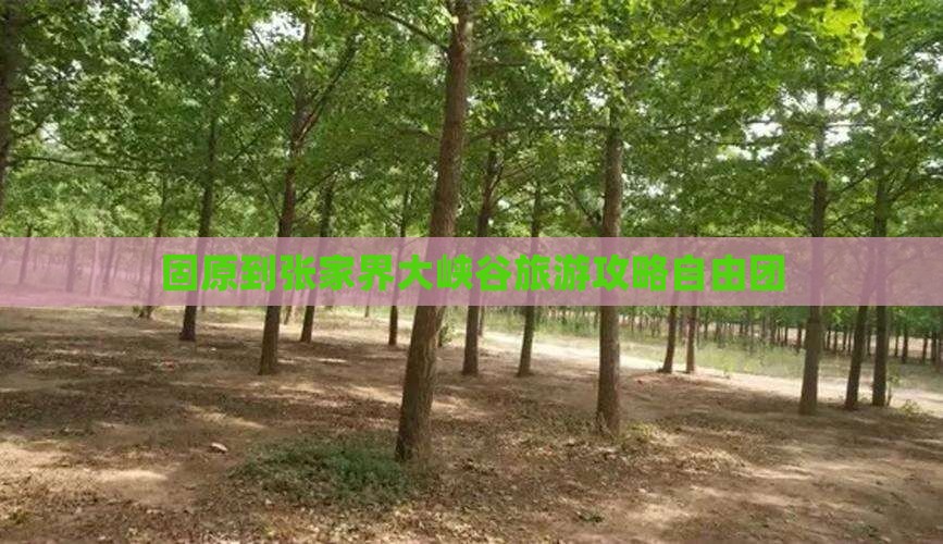 固原到张家界大峡谷自由团