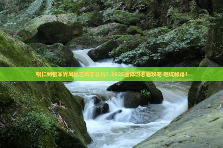铜仁到张家界凤凰古城团体旅游