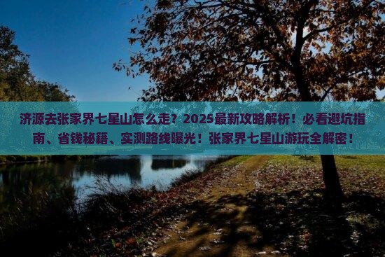 济源去张家界七星山攻略