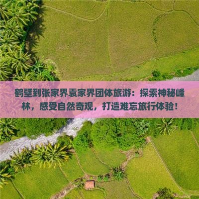 鹤壁到张家界袁家界团体旅游