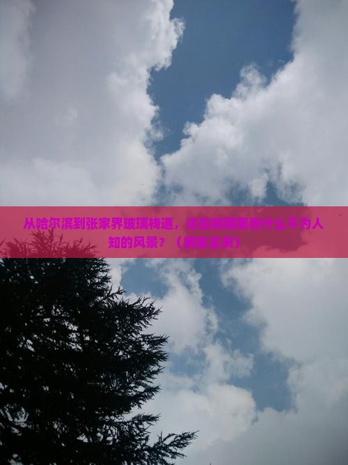 哈尔滨到张家界玻璃栈道景点