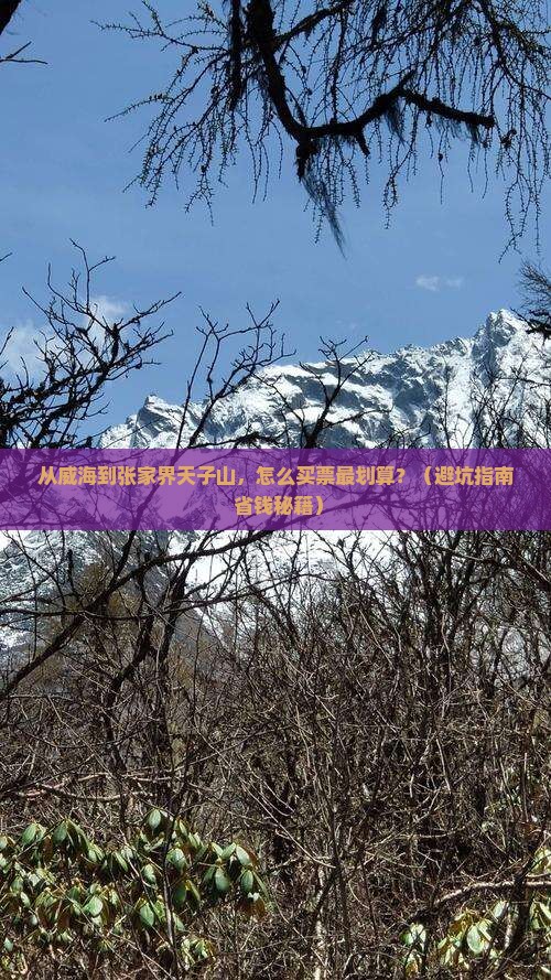 威海到张家界天子山门票