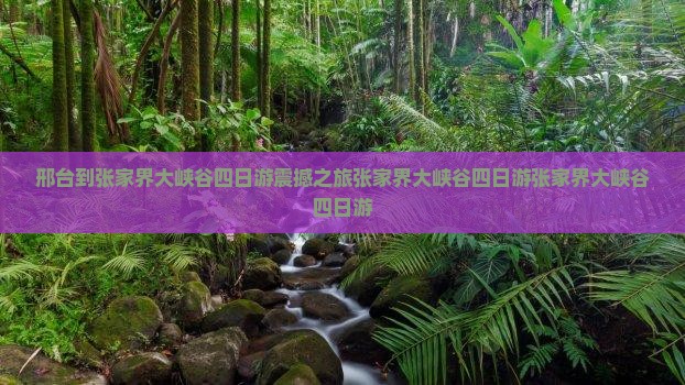 邢台到张家界大峡谷四日游