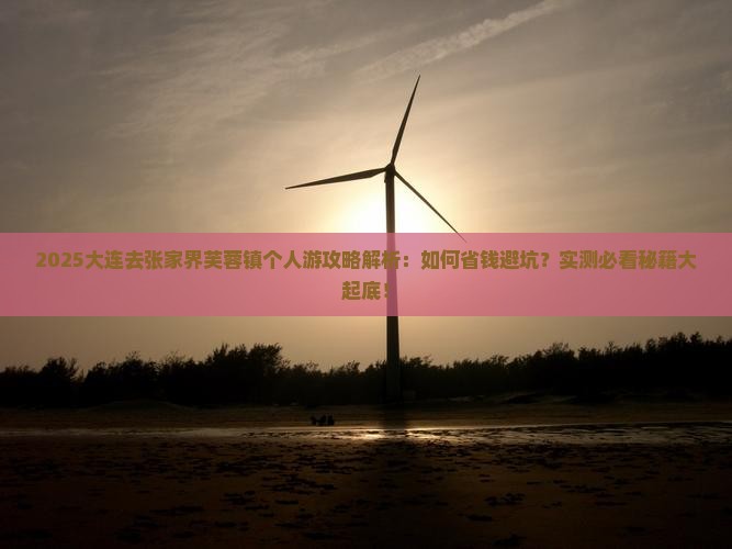大连去张家界芙蓉镇个人游