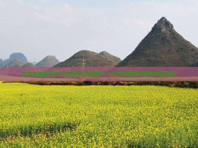 汉中去张家界天门山旅行社