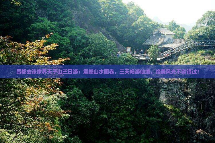 昌都去张家界天子山三日游