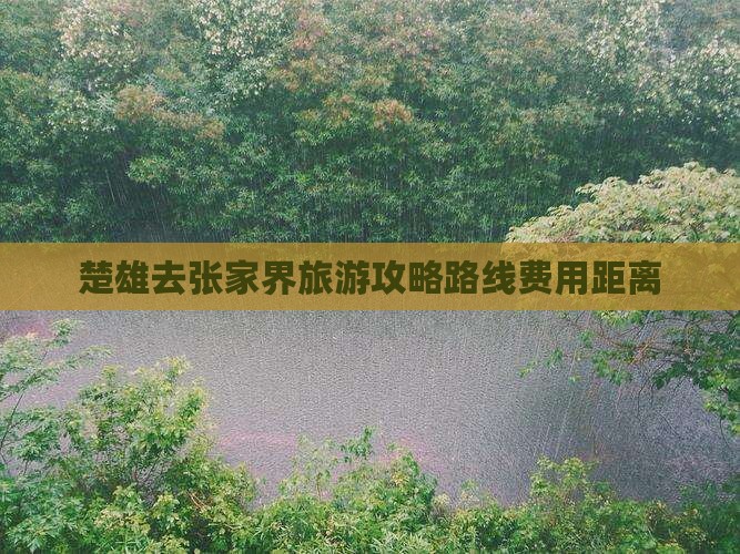 楚雄去张家界旅游