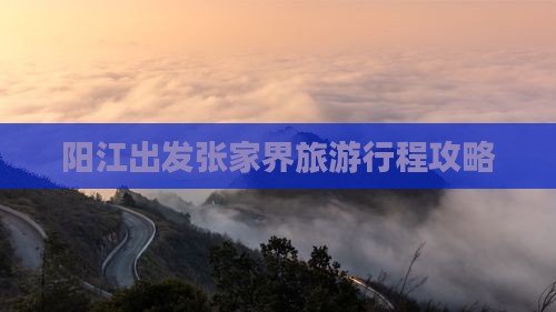 阳江到张家界自由团