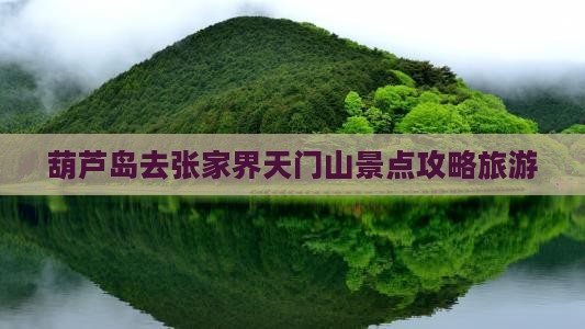 葫芦岛去张家界天门山景点