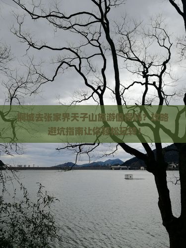 桐城去张家界天子山旅游