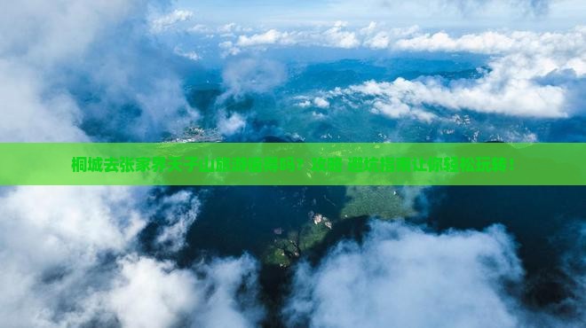 桐城去张家界天子山旅游