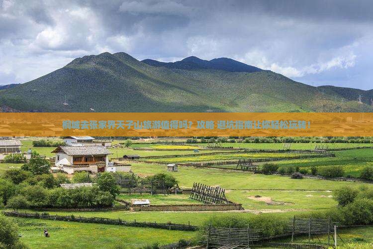 桐城去张家界天子山旅游