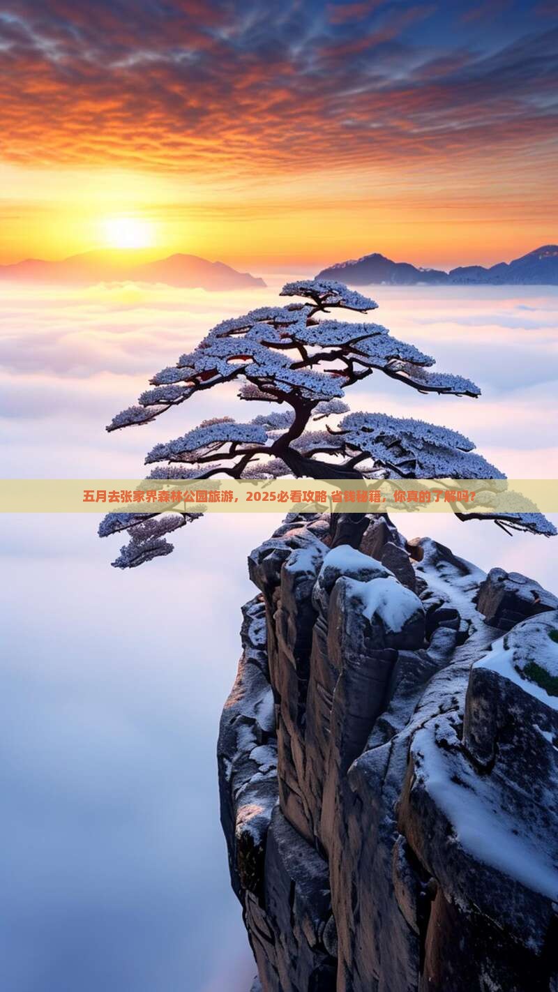 五月到张家界森林公园旅游