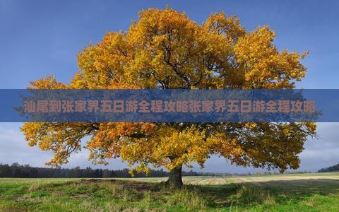 汕尾到张家界五日游