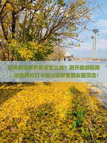 吉林到张家界景点