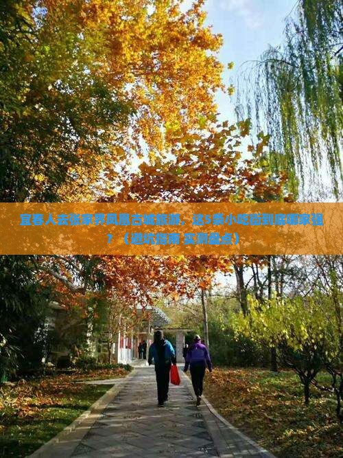 宜春去张家界凤凰古城旅游小吃