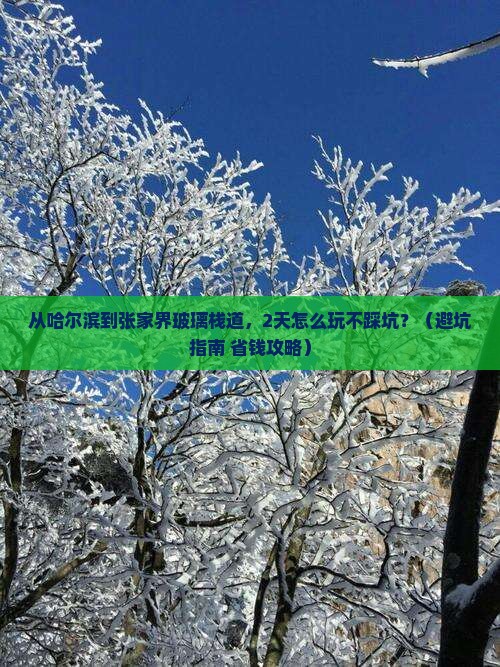 哈尔滨去张家界玻璃栈道二日游