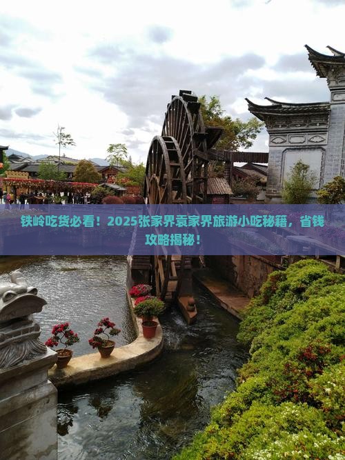铁岭去张家界袁家界旅游小吃