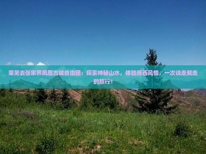 莱芜去张家界凤凰古城自由团