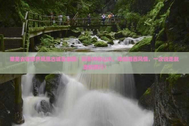 莱芜去张家界凤凰古城自由团